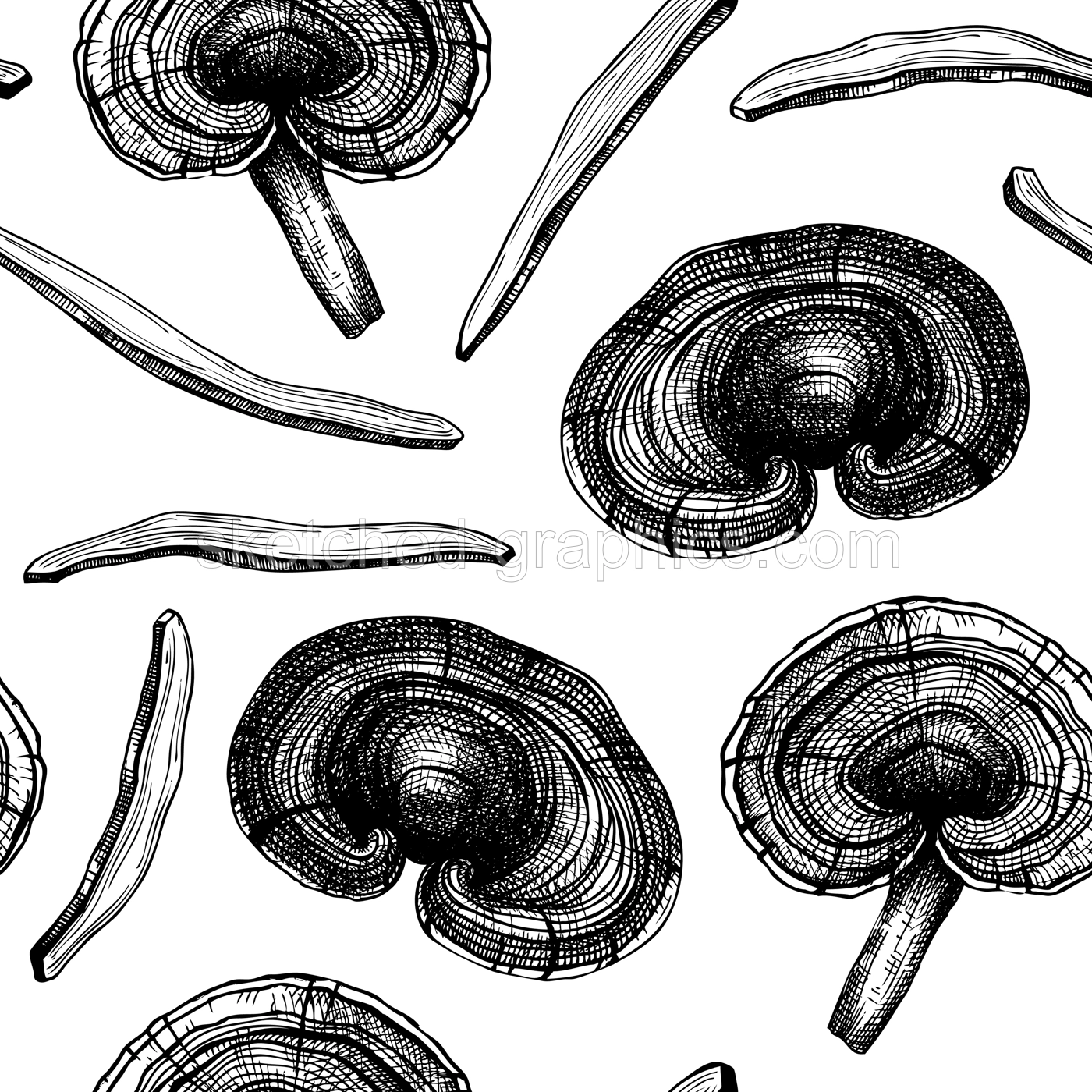 Reishi mushrooms background. Hand-sketched medicinal plant vector drawings. Adaptogenic mushroom seamless pattern. Dried reishi sketches Illustration